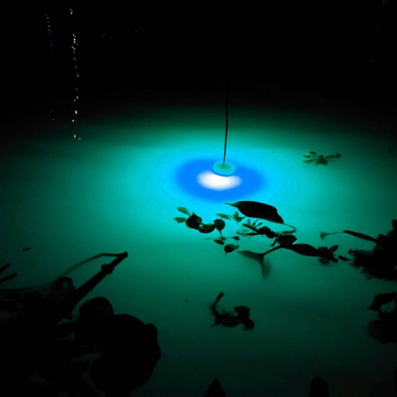 MINI Fishing Attraction โคมไฟเ - Fishing Boat Navigation Light บทวิจารณ์และราคา