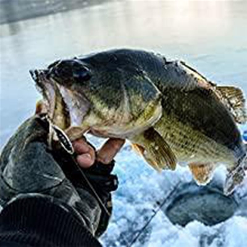เครื่องหาตำแหน่งปลาแบบพกพา ABU - Fishing Boat Depth Finder บทวิจารณ์และราคา